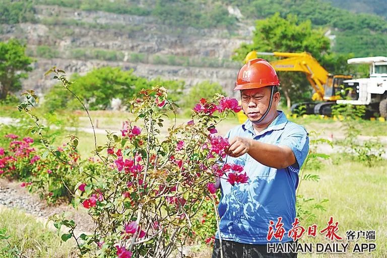 海南這座礦山，為何這么綠？4.jpg